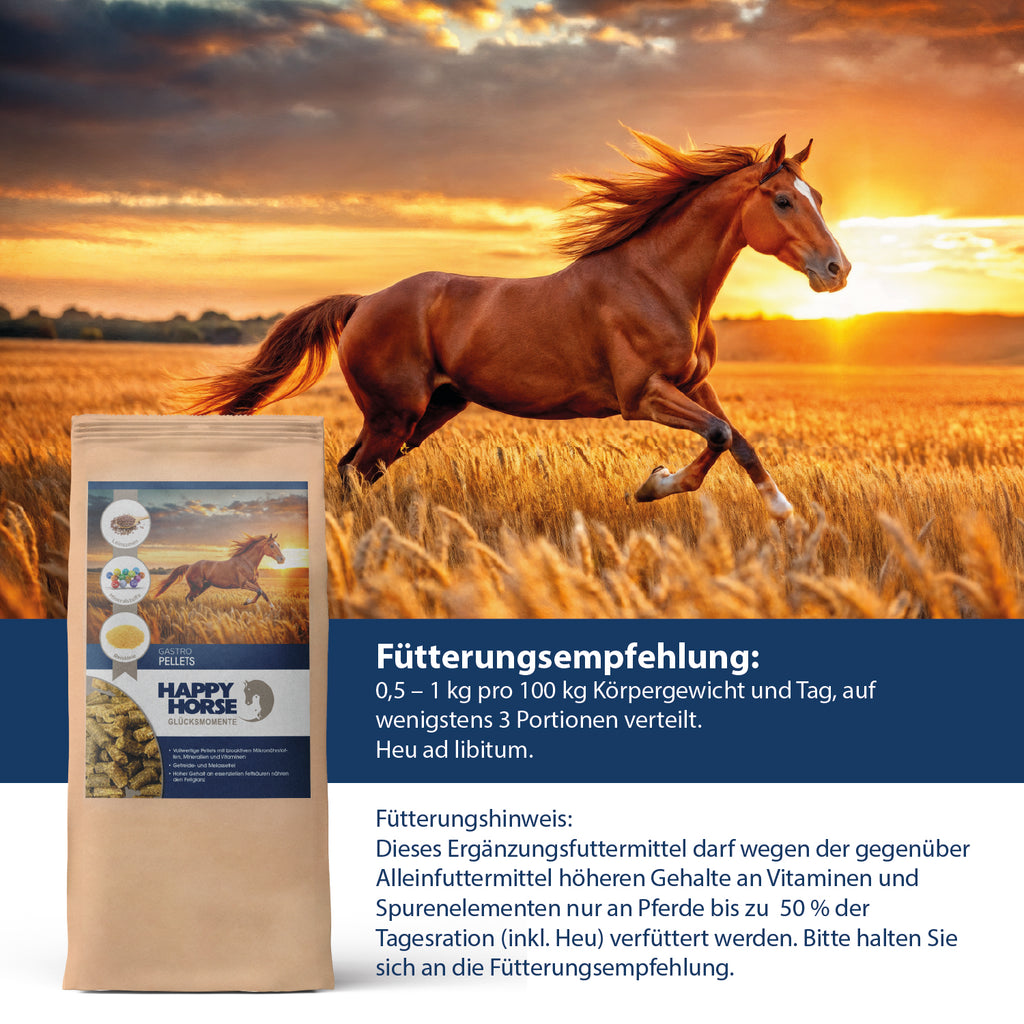 HAPPY HORSE Gastro Pellets