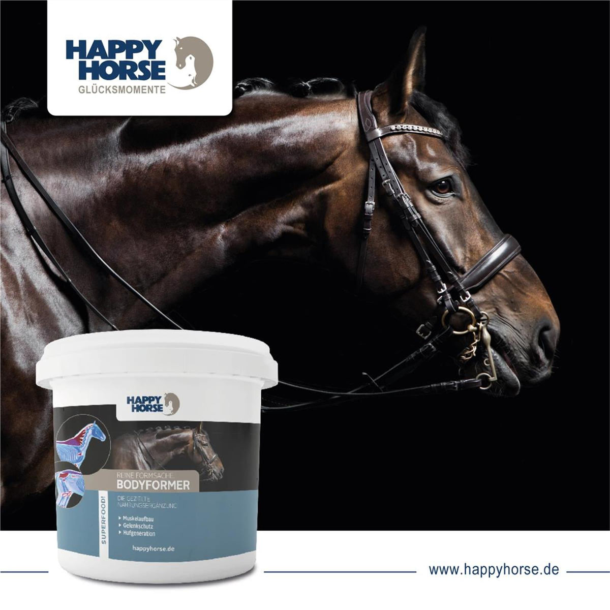 HAPPY HORSE Bodyformer für Pferde 1,5 kg