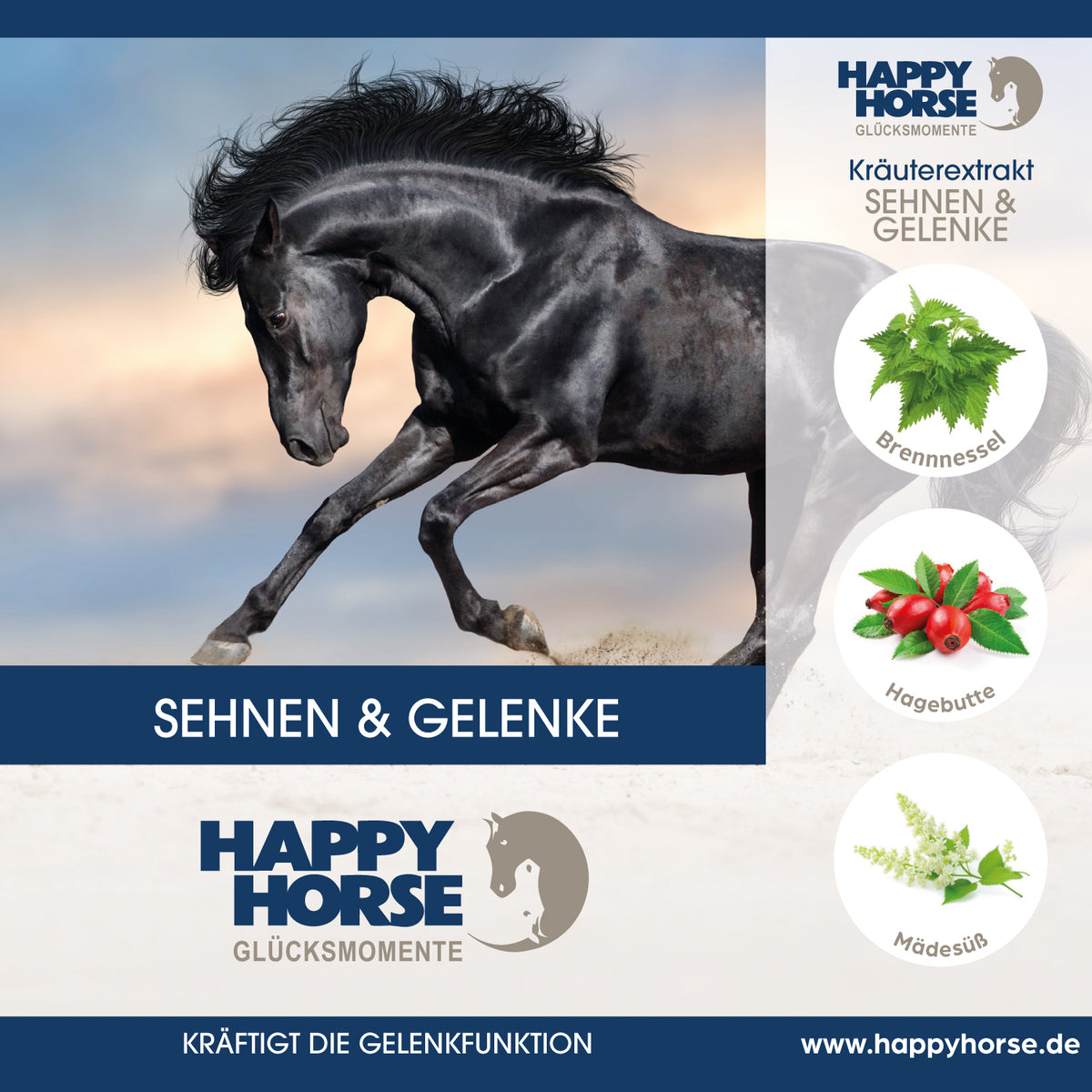 HAPPY HORSE Sehnen & Gelenke 1.000 ml