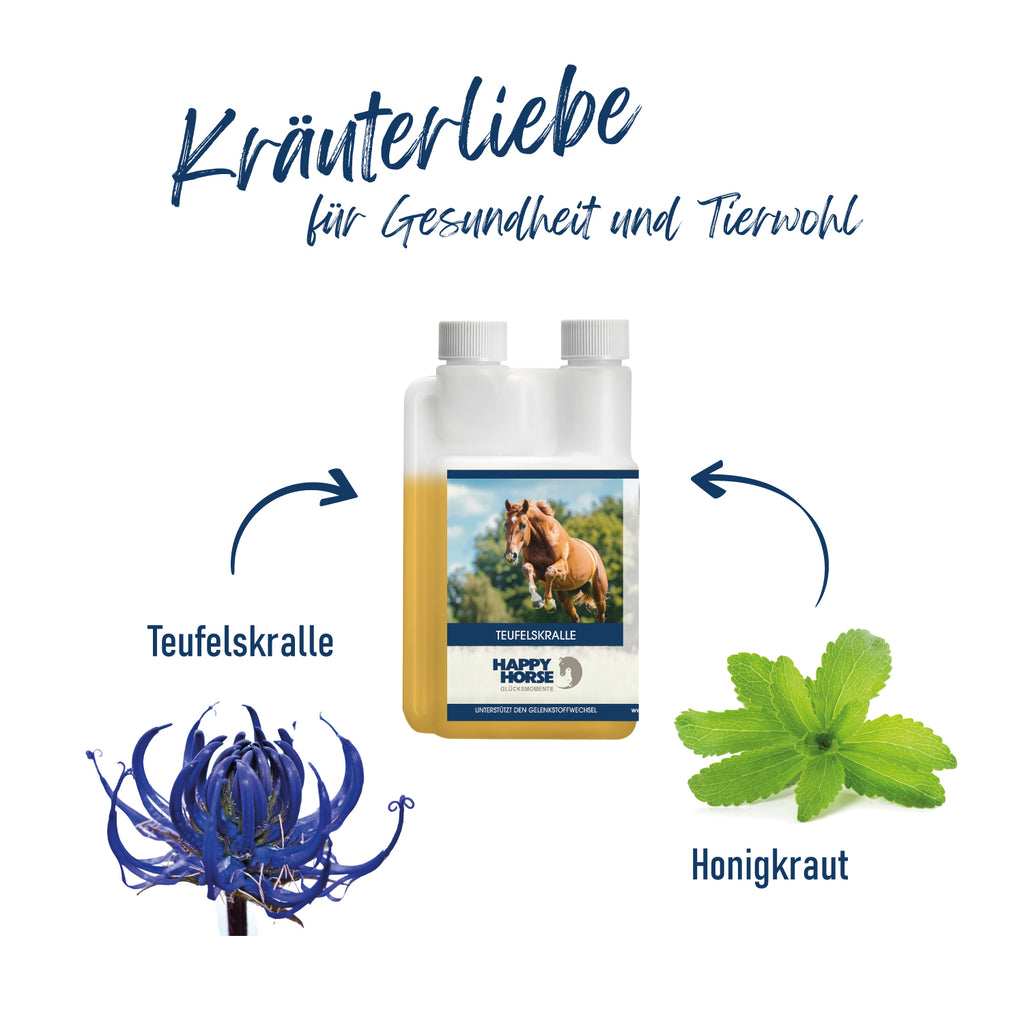 HAPPY HORSE Teufelskralle 1.000 ml
