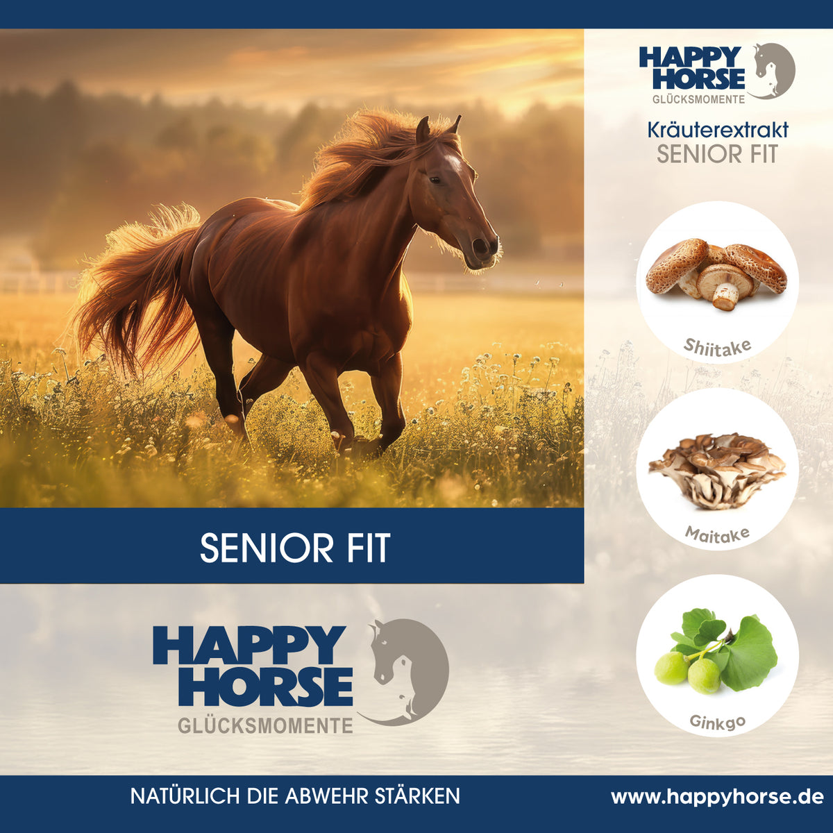 HAPPY HORSE Senior & Fit 1.000 ml