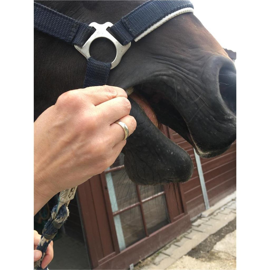 Doc-Wurm-Check HORSE - EQUISAL Bandwurm-Check