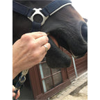 Doc-Wurm-Check HORSE - EQUISAL Bandwurm-Check
