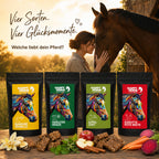 Happy Horse - Sparbox "Lecker Snacks" 4 x 800 g