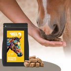 HAPPY HORSE Lecker Snack "Banane - Vanille" 800 g