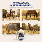 HAPPY HORSE Arthro Fit - Liquid 500ml
