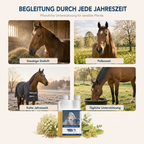 HAPPY HORSE Atemwege & Bronchialsaft 1.000 ml