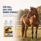 HAPPY HORSE Futteröl 500 ml