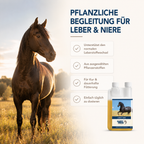 HAPPY HORSE Leber & Nieren 1.000 ml