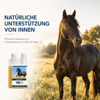 HAPPY HORSE Leber & Nieren 1.000 ml
