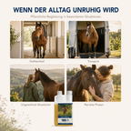 HAPPY HORSE Relax & Nervensaft 1.000 ml