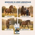 HAPPY HORSE Teufelskralle 1.000 ml