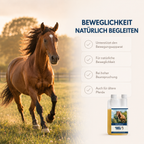 HAPPY HORSE Teufelskralle 1.000 ml