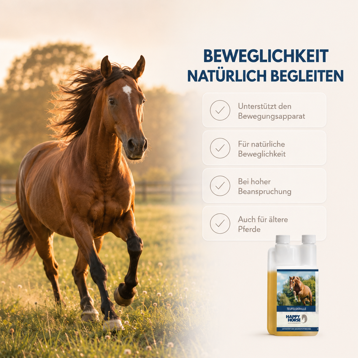HAPPY HORSE Teufelskralle 1.000 ml