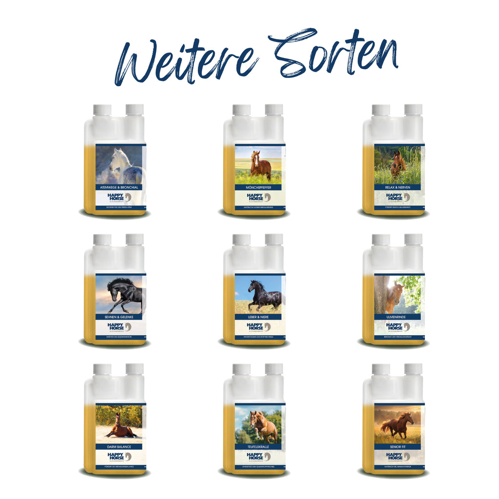 HAPPY HORSE Sehnen & Gelenke 1.000 ml